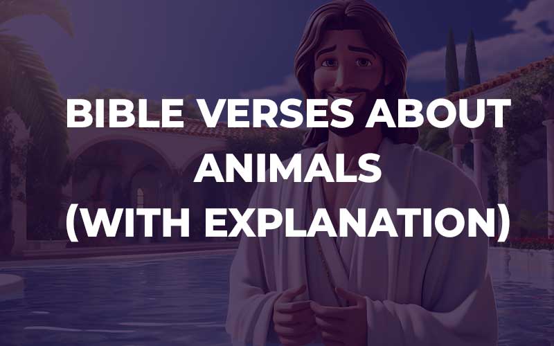 Bible Verses About Animals