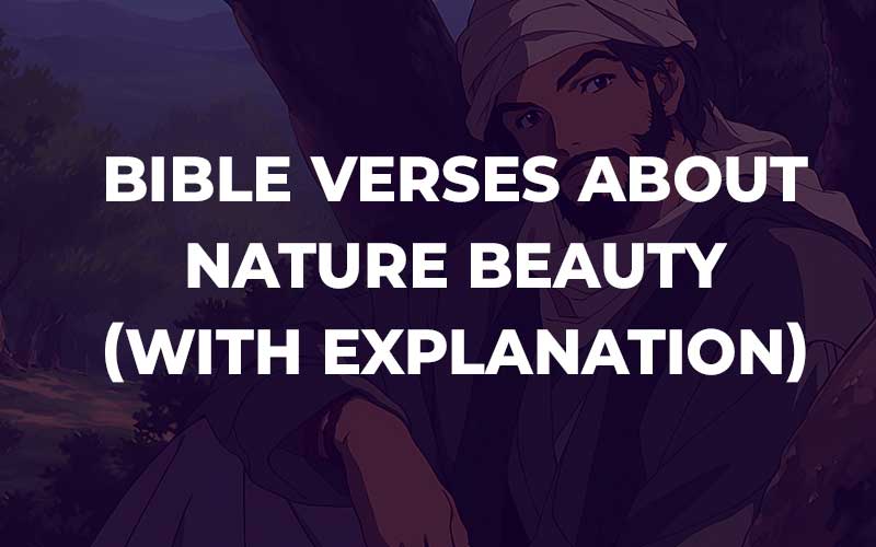 Bible Verses About Nature Beauty