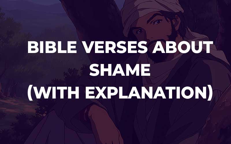 Bible Verses About Shame