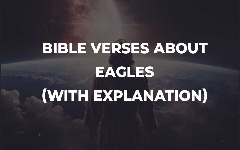 Bible Verses About Eagles