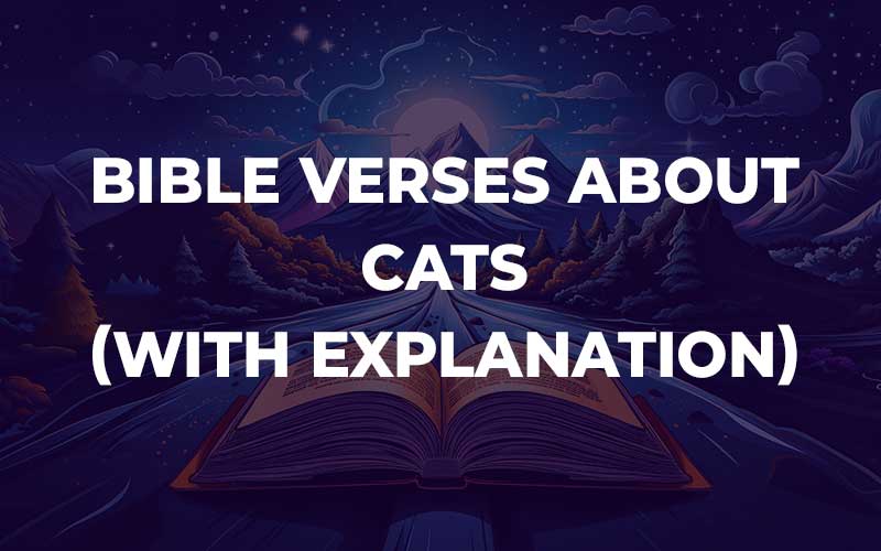 20 Bible Verses About Cats (With Commentary) - Bible Study For You