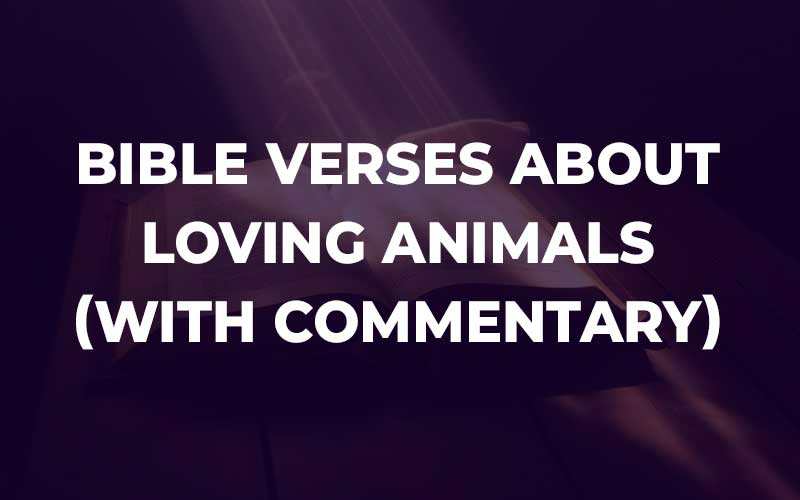 Bible Verses About Loving Animals