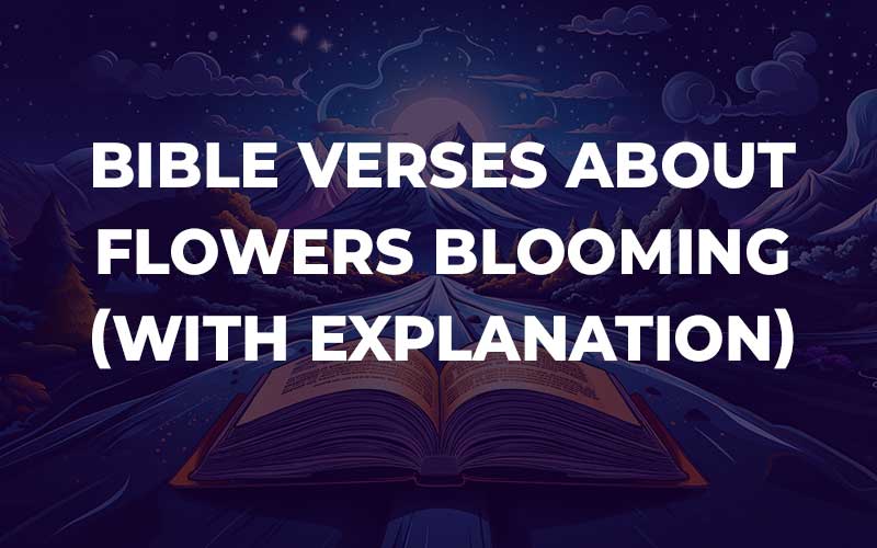 Bible Verses About Flowers Blooming