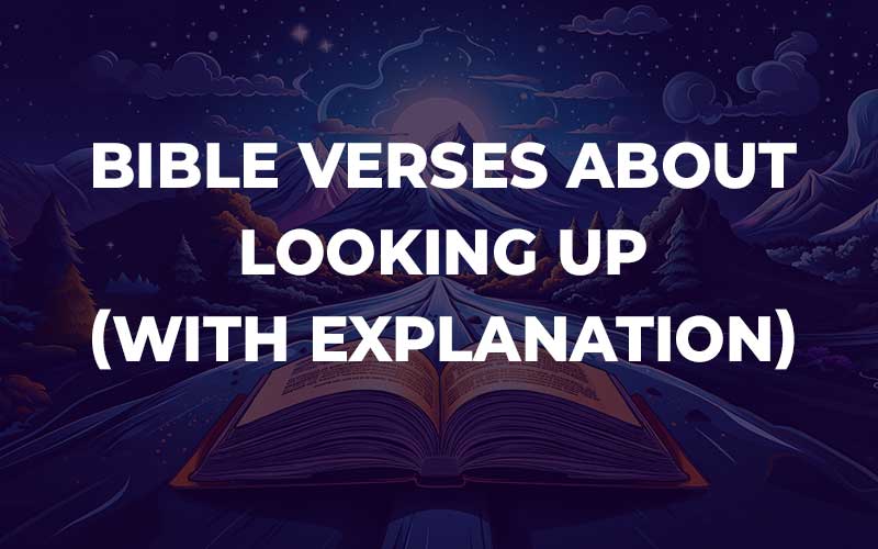 Bible Verses About Looking Up