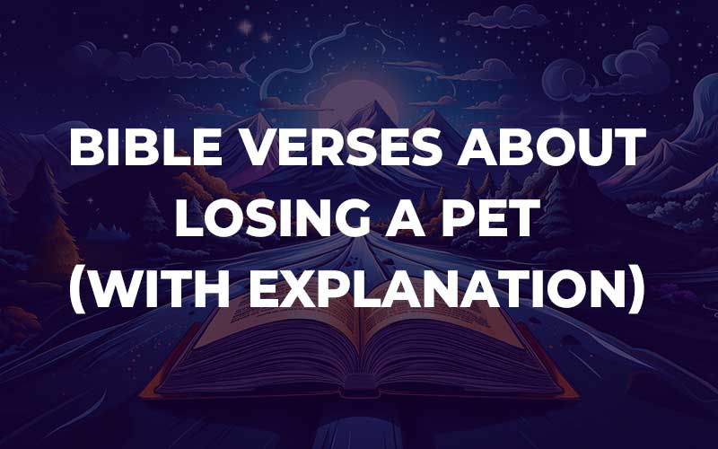 Bible Verses About Losing A Pet