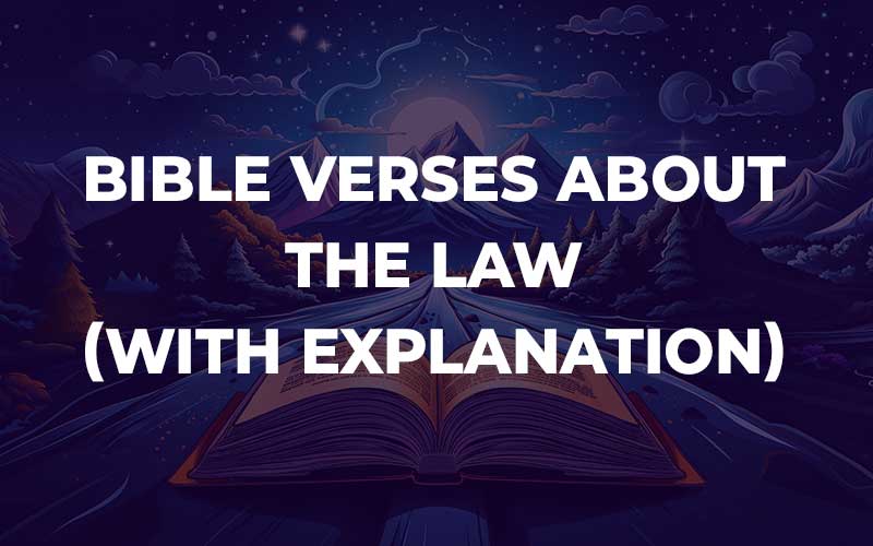 Bible Verses About The Law