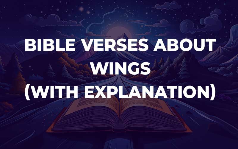 Bible Verses About Wings