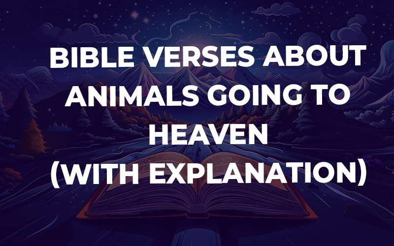 Bible Verses About Animals Going To Heaven