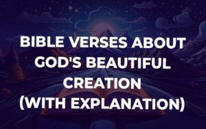 Bible Verses About God'S Beautiful Creation