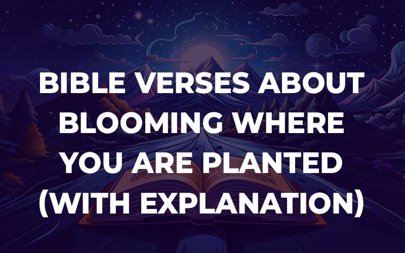 Bible Verses About Blooming Where You Are Planted