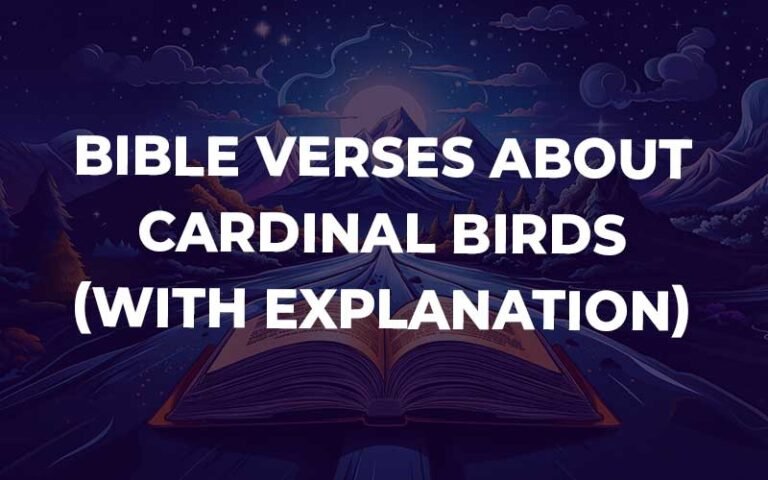 30 Powerful Bible Verses About Cardinal Birds (With Commentary) - Bible ...