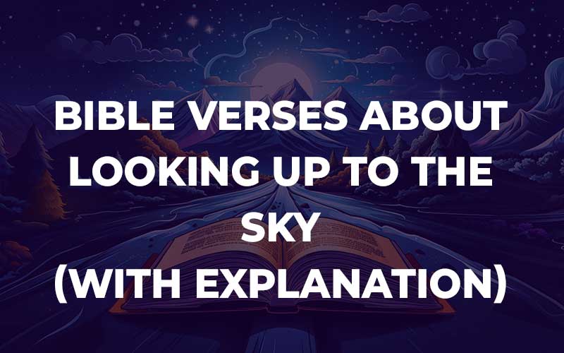 Bible Verses About Looking Up To The Sky