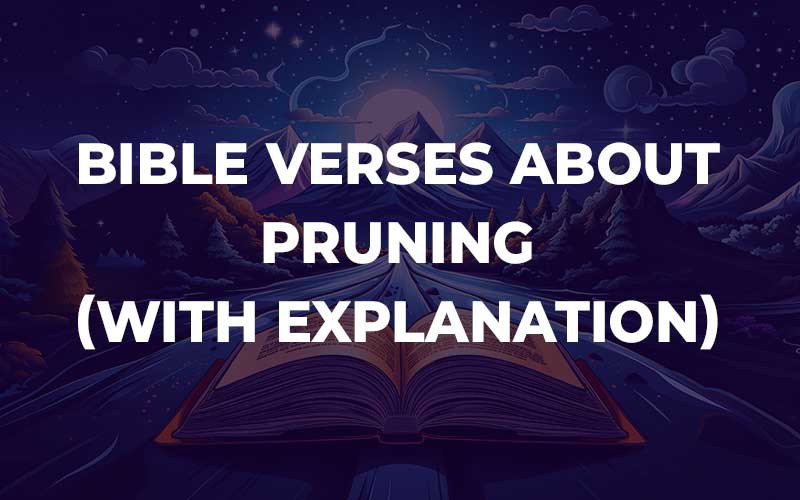 Bible Verses About Pruning