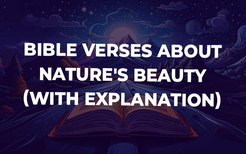 Bible Verses About Nature'S Beauty